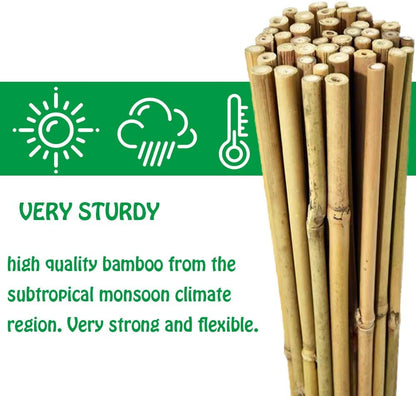 Mininfa Natural Bamboo Stakes 6 Feet, Eco-Friendly Garden Stakes, Plant Stakes Supports Climbing for Tomatoes, Trees, Beans, 20 Pack