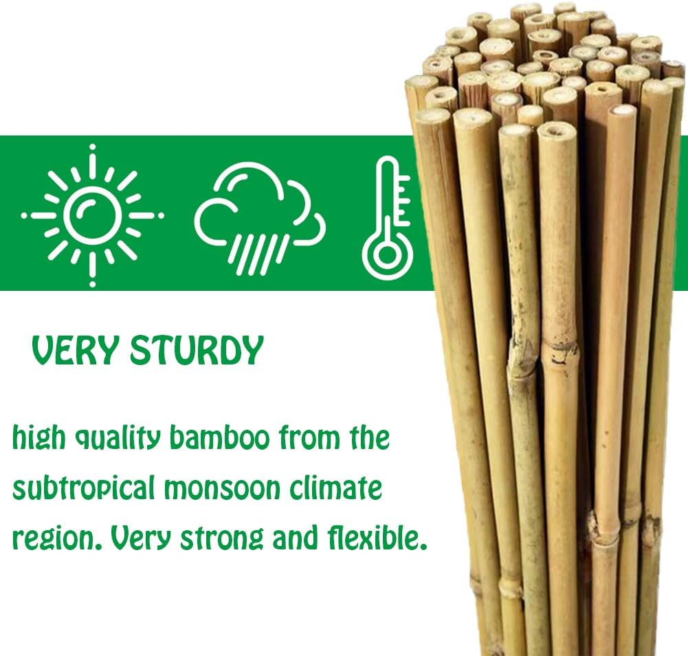 Mininfa Natural Bamboo Stakes 57 Inch (Approx 5 FEET), Eco-Friendly Garden Stakes, Plant Stakes Supports Climbing for Tomatoes, Trees, Beans, 20 Pack