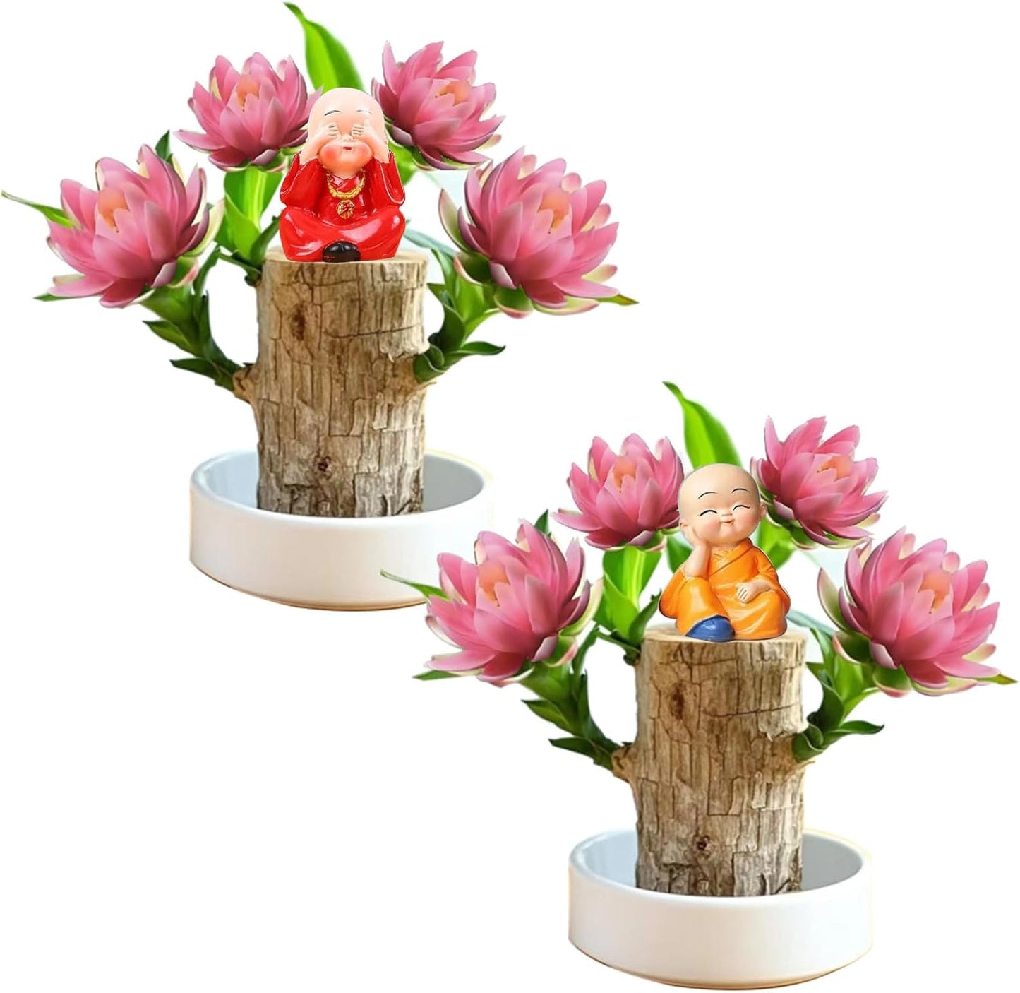 Brazilian Lucky Wood Kit with Monk, Grow Your Own Luck,Easy to Maintain Mini Brazil Woods for Indoor/Outdoor, Bedroom, Kitchen, Office Desk, Garden and Other Decorations (2B)