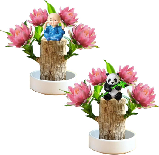 Brazilian Lucky Wood Kit with Monk, Grow Your Own Luck,Easy to Maintain Mini Brazil Woods for Indoor/Outdoor, Bedroom, Kitchen, Office Desk, Garden and Other Decorations (3B)