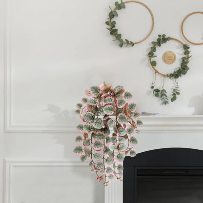 Briful Fake Plants Indoor 16'' Artificial String of Hearts Plants with Ceramic Pot Small Faux Draping Vine Plants for Home Bathroom Table Shelf Office Hotel Decor(Pink)
