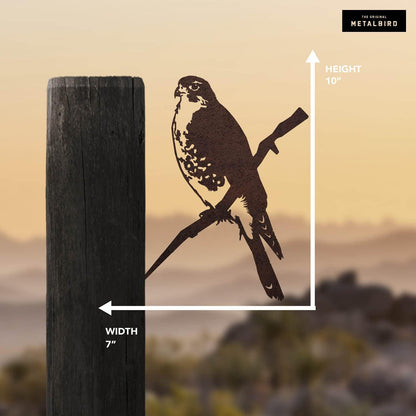 METALBIRD - Peregrine Falcon - Outdoor Tree Ornaments in Corten Steel - Metal Art Proudly Made in The USA