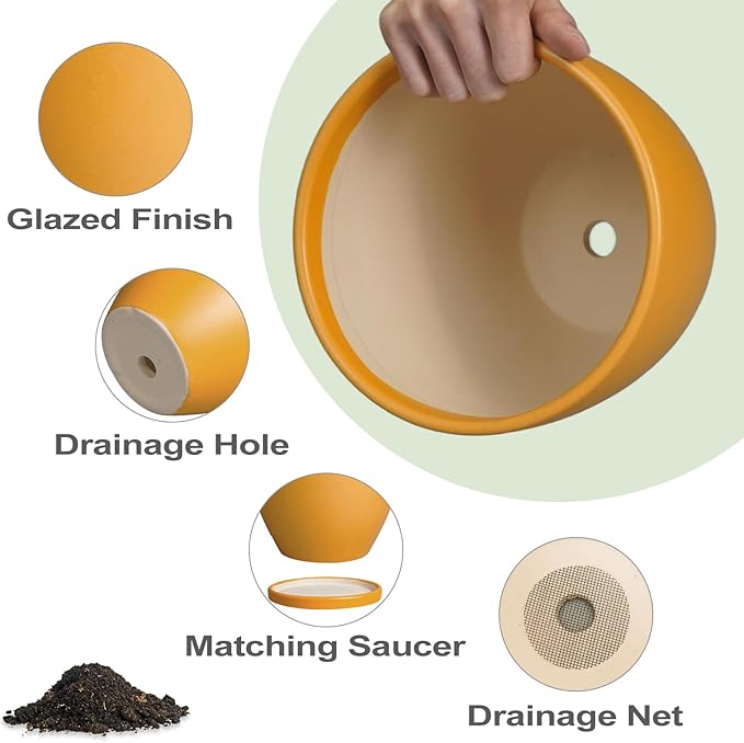 Ceramic Plant Pot - 8 Inch Planter for Indoor Outdoor Plants, Round Flower Pots with Drainage and Tray, Home Office Decor, Orange