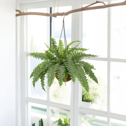 Fake Hanging Plants Large Boston Fern Artificial Plants Outdoor Realistic Fake Ferns with Palm Basket Silk Plants Ferns Hanging Plant Artificial Decor for Home Front Porch Window Garden - Dusty Green