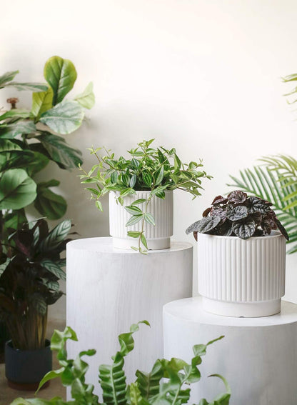 LE TAUCI Ceramic Pots for Plants, 8+6.7+5.5 Inch Plant Pots Indoor, Flower Pot with Drainage Holes, Medium Cylinder Planters for Indoor House Plants, Set of 3, White