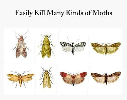 Faicuk Pantry Moth Traps with Pheromone Attractant for Home, Kitchen, and Storeroom Odorless, Insecticide-Free and Non-Toxic (8 Pack)