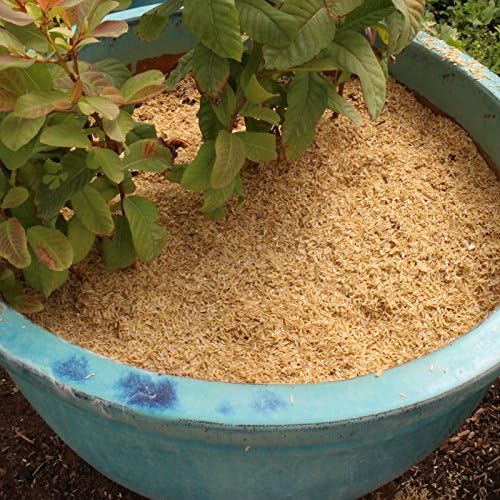 Rice Hulls - Organic Use – 1.5lb Bag - House Plants – Gardening - Chicken Bedding Nesting