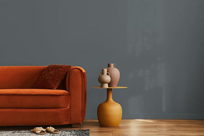EVOLVE Paint & Primer: Environment-friendly, Low Sheen with One-coat Coverage for Interior & Exterior surfaces (Seal Gray, 1-Gallon)