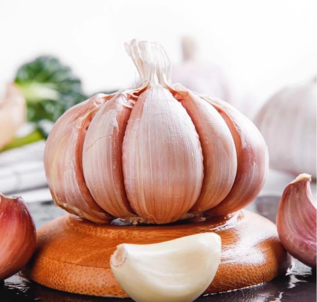 1 Pound Hard Neck Garlic for Planting in Fall, Big Garlic Bulb for Planting, Fresh and High Yield, Cold Hardy, Planting Softneck Hardneck