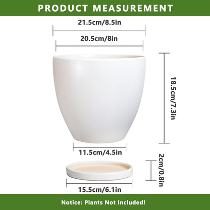 8 Inch Plant Pot - Ceraimc Planter for Indoor Outdoor Plants, Round Flower Pots with Drainage and Tray, House Decor, White