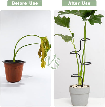 3PCS Indoor Plant Support Stakes - Sturdy Metal Trellis for Garden Flowers & Monstera, Durable & Easy to Use, Perfect for Small to Medium Indoor Plants, Ideal Gift for Plant Lovers!