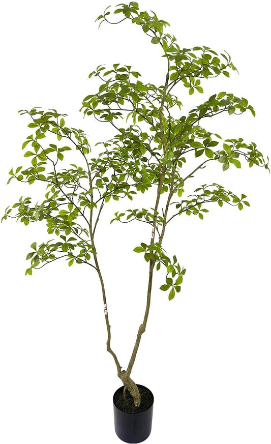 Artificial Gardenia Tree,6ft（1pack） Tall Fake Plants Artificial Mahonia fortunei Plants for Indoor, Fake Trees for Office Home Living Room Floor Patio Greening Porch Decor