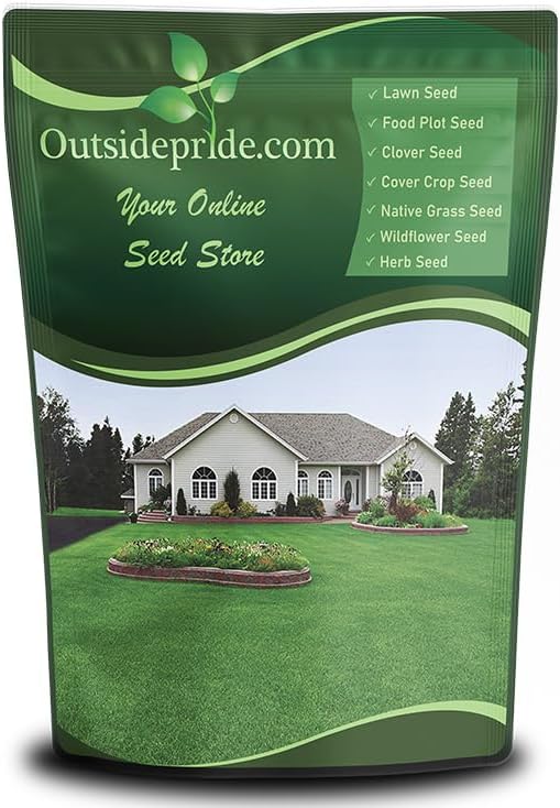 Outsidepride Perennial Buffalo Grass Seed - 5 lbs Heat & Drought Tolerant, Low Maintenance, Warm Season Dense Turf Grass Seed for Lawn, Xeriscape Landscaping, & Roadside Planting