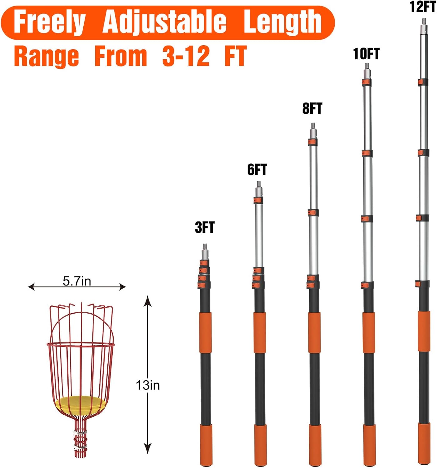 20FT Reach Fruit Picker Pole with Basket Telescoping, Apple Picker with 3-12FT Telescoping Pole for Apple Orange Lemon Mango Avocado Guava Fruit Picking