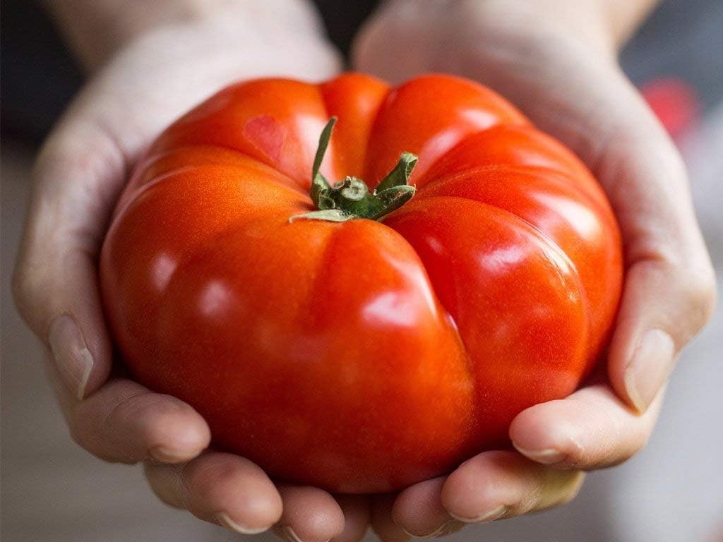Seeds Vegetable Beefsteak Tomato Red Giant Indetereminate Non GMO for Planting Heirloom