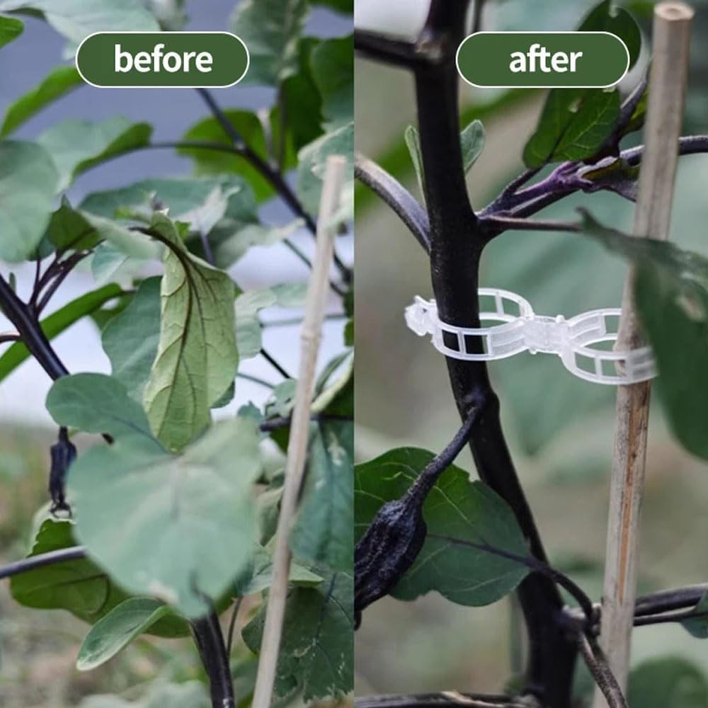 Plant Support Clips, Reusable Garden Clips Plant Holder Clips, Plastic Tomato Vine Grape Clips for String Trellis Plant Clips for Climbing Plants Support Outdoor Indoor Gardening Supplies (50, White)