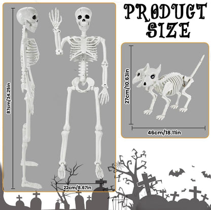 YUJUN 36'' Halloween Skeleton Decoration with 2Head Dog Skeleton, Full Body Posable Skeleton Realistic Plastic Bones Movable Joints for Halloween Party Yard Haunted House Props Indoor Outdoor Decor