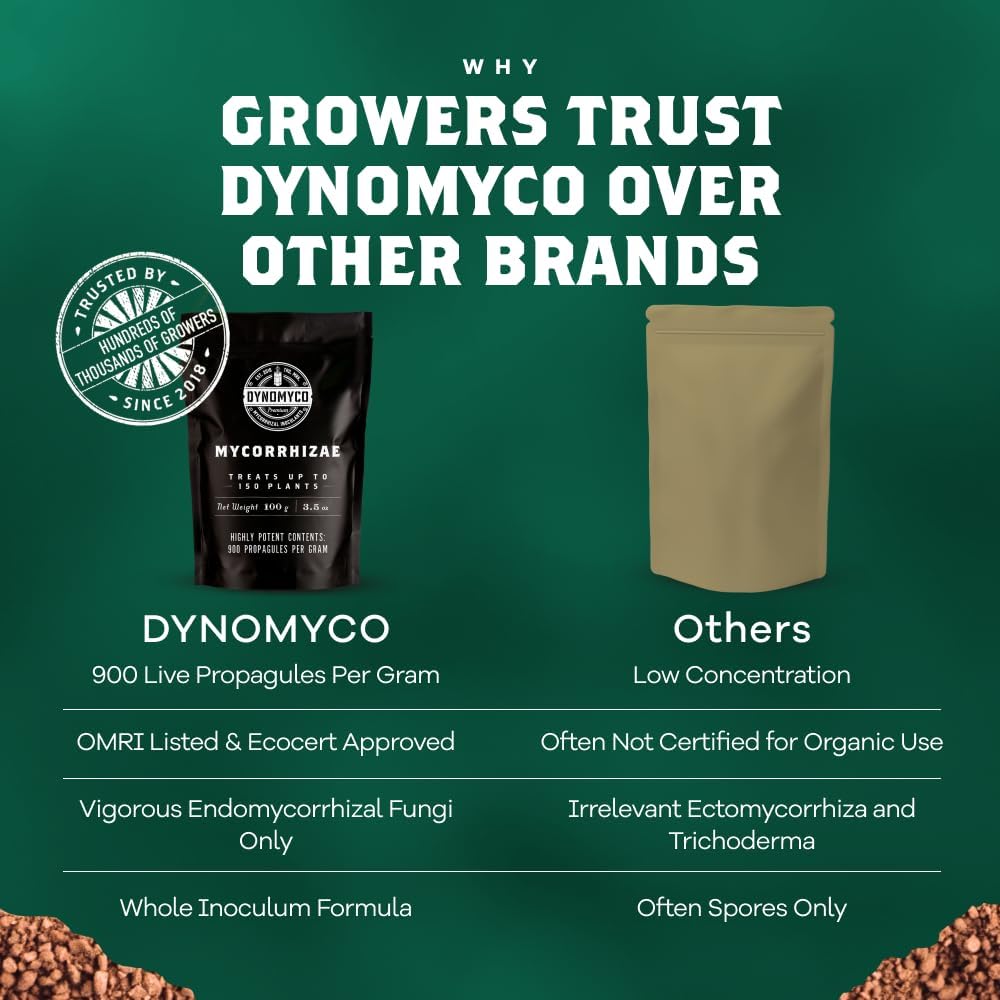 DYNOMYCO Granular Mycorrhizal Fungi Inoculant, 100g/3.5oz – Boosts Root Growth, Yields & Nutrient Uptake – 900 Propagules/g, Concentrated Granules, & OMRI Listed – Biofertilizer for Plant Growth