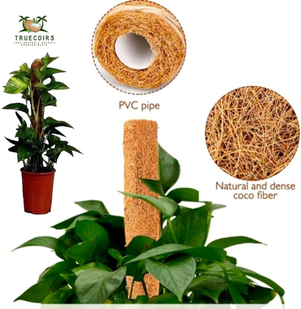 Pack of 6 Coco Coir Pole- Plants Monstera 24" Sized Poles for Climbing Plants, Plant Support Stakes for Indoor/Outdoor Potted Plants