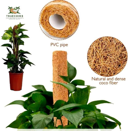 Pack of 6 Coco Coir Pole- Plants Monstera 24" Sized Poles for Climbing Plants, Plant Support Stakes for Indoor/Outdoor Potted Plants