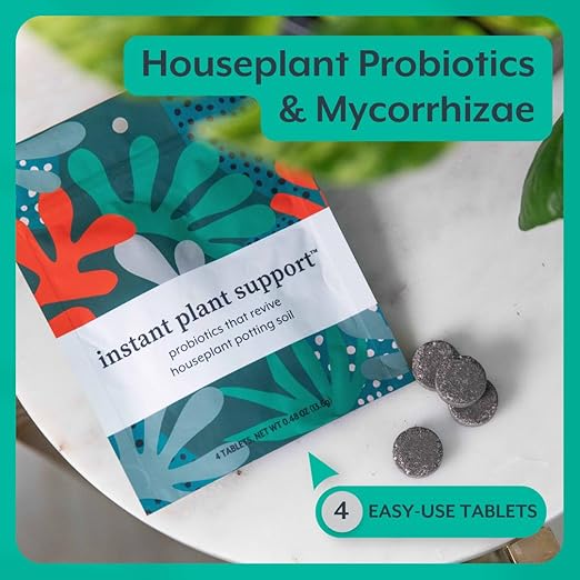 Instant Plant Support | Soil ProBiotics & Mycorrhizae for Houseplants and Indoor Gardens | No Odor - No Dust - No Mess | Package of 4 Tablets