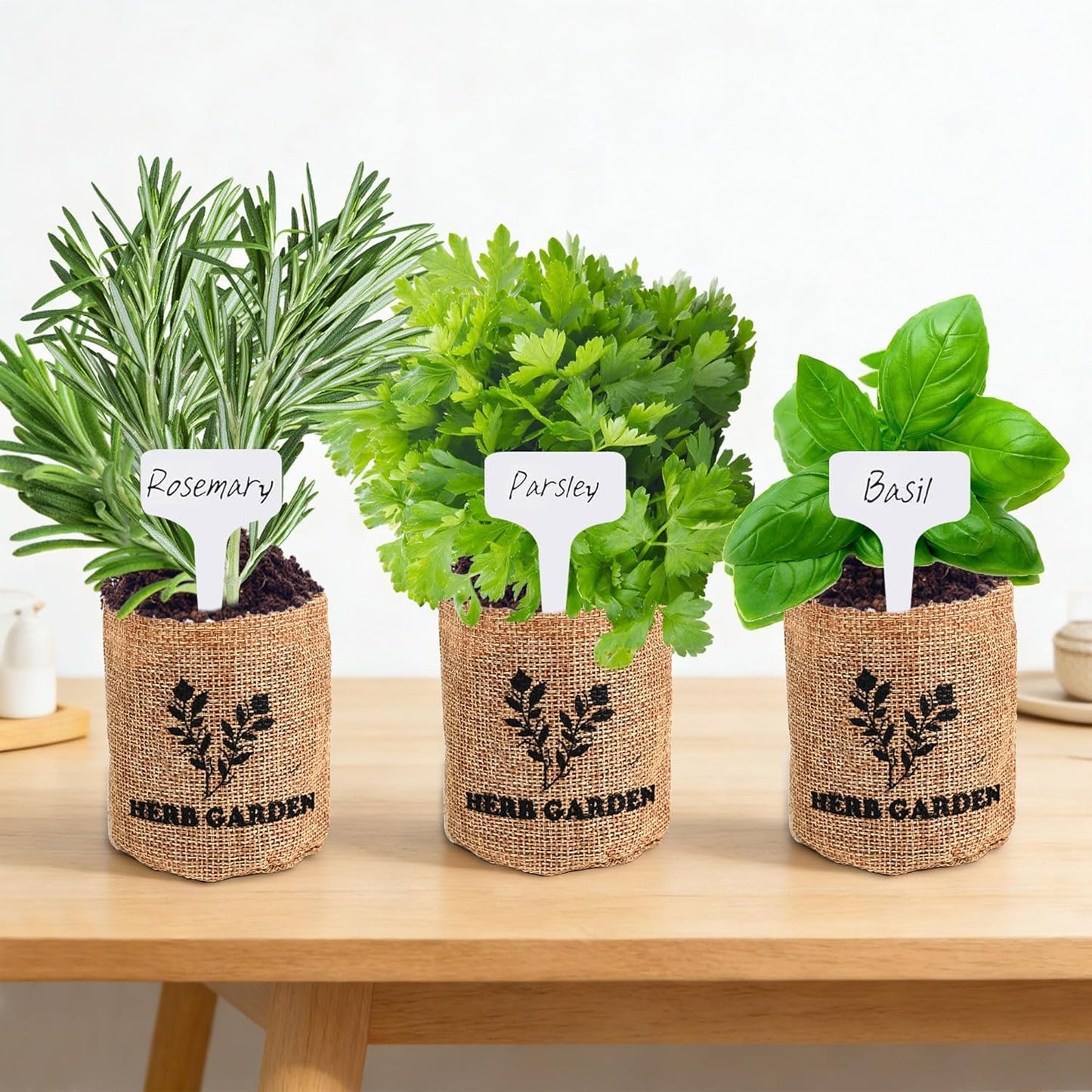 Indoor Herb Garden Kit – Complete Starter Growing Set with Planter Bags, Soil Discs & Tools | Easy DIY Kitchen Herb Garden for Beginners | Perfect Gift for Home & Garden Lovers