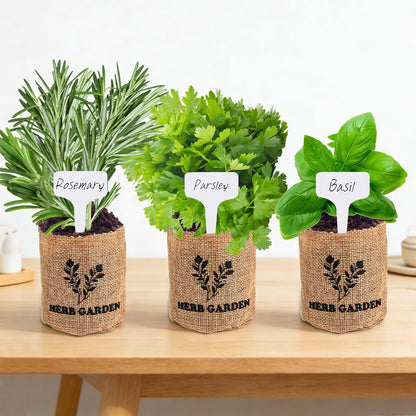 Indoor Herb Garden Kit – Complete Starter Growing Set with Planter Bags, Soil Discs & Tools | Easy DIY Kitchen Herb Garden for Beginners | Perfect Gift for Home & Garden Lovers