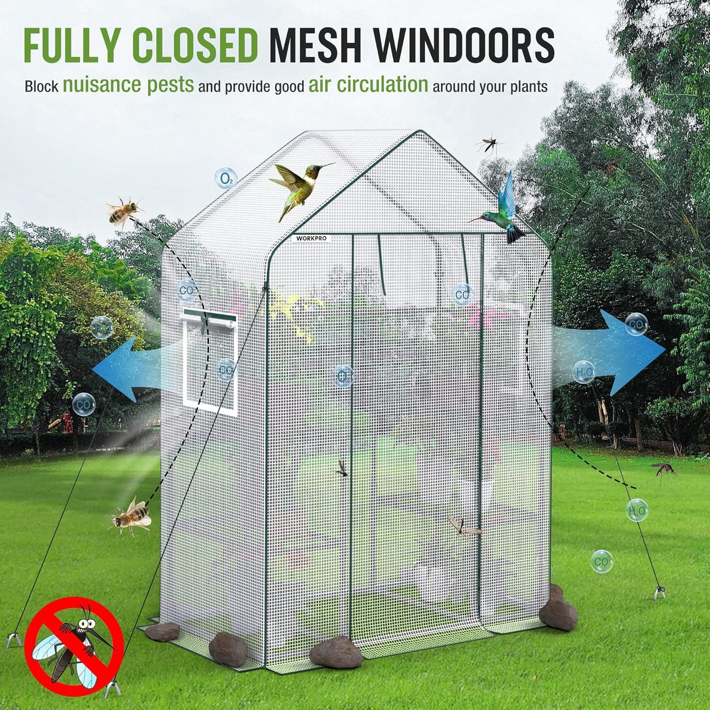Walk-in Greenhouse 56”x29”x77” – 3-Tier 4 Shelves, Heavy Duty PE Cover, Roll-Up Door & Mesh Windows, Portable Indoor Outdoor Plant Greenhouse for Backyard Patio Balcony