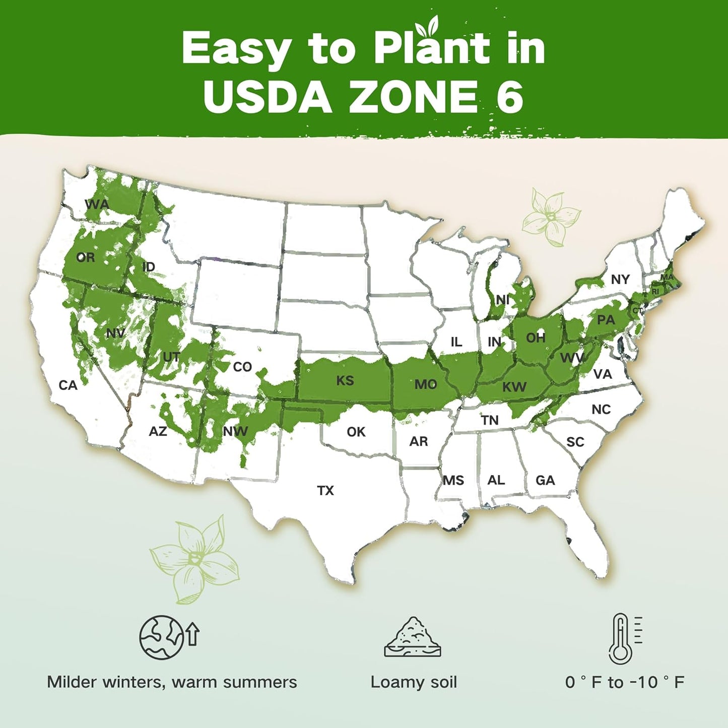 Lush&Dew Year-Round USDA Zone 6 Heirloom Survival Seed Kit, 32 Varieties 32,000+ Seeds for Planting Vegetables Herbs, Gardening Gifts for Women Men, Raised Garden Bed, Greenhouse Indoor Outdoor