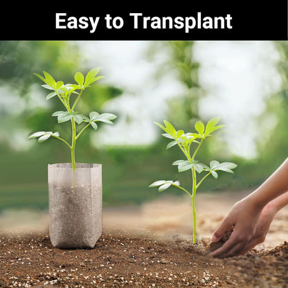 Non-Woven Nursery Bags, 200PCS 5x6 inch Fabric Planter for Plants Tree Seedling, Seed Starting Soil Transplant Pouches, Plant Grow Bags for Cutting Clones Home Garden Supply