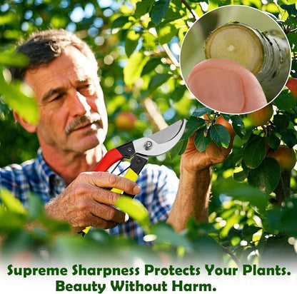 Pruning Shears for Gardening, 8-Inch Bypass Garden Shears with Sharp Steel Blade, Lightweight Garden Scissors with Spring and Lock for Trimming Branches, Flowers, Bonsai