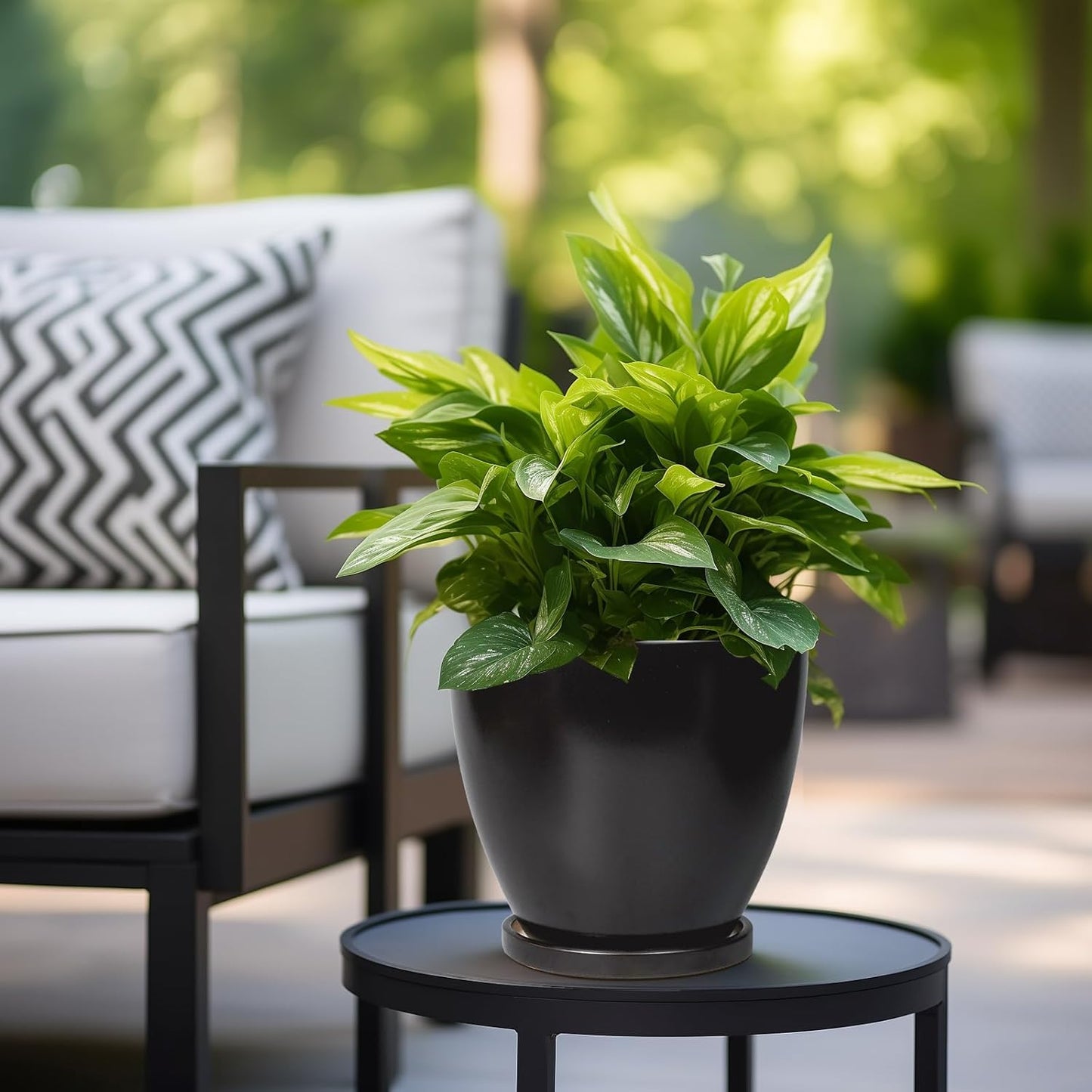 8 Inch Plant Pot - Ceraimc Planter for Indoor Outdoor Plants, Round Flower Pots with Drainage and Tray, House Decor, Black