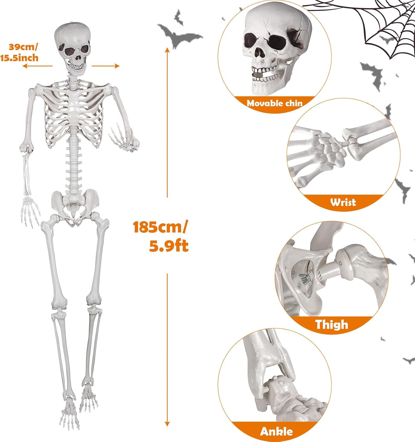Halloween Skeleton, Realistic Life Size Skeleton with Movable Joints for Halloween Party Haunted House Indoor Outdoor Decoration (5.9ft-1P)
