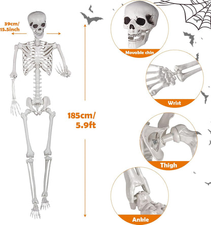 Halloween Skeleton, Realistic Life Size Skeleton with Movable Joints for Halloween Party Haunted House Indoor Outdoor Decoration (5.9ft-1P)