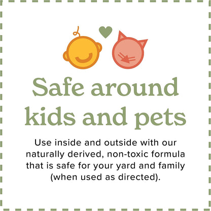 Lizard Control Spray - 32 oz - Natural Peppermint Formula - Indoor & Outdoor Use - Keeps Iguanas Away - Safe Around Kids & Pets