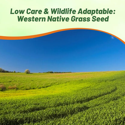 Outsidepride Western Native Grass Seed Mix - 25 lbs. Perennial Blend of Warm & Cool Season, Drought Tolerant Grass Seed for Natural Landscaping w/Wildflower, Soil Health Improvement & Erosion Control
