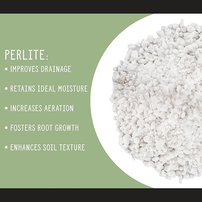 Horticultural Perlite Soil Additive (1 Quart); for Enhanced Potting Mix Drainage and Growth