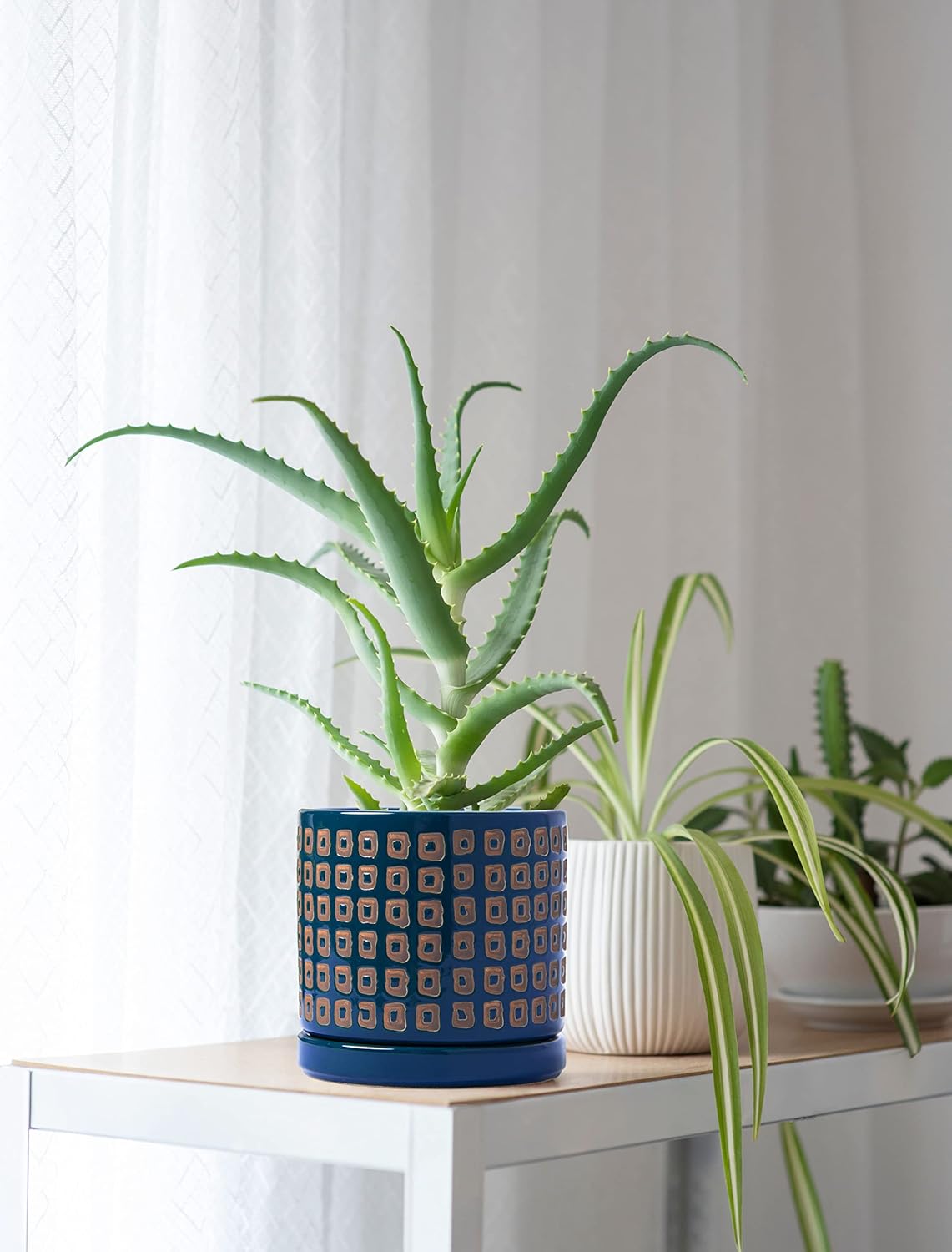 D'vine Dev Set of 2 Ceramic Planter Pots with Drainage Hole and Saucer, 4.5 Inch Plant Pots for Plants Indoor Houseplants, Blue, 99-Z-A-6-V