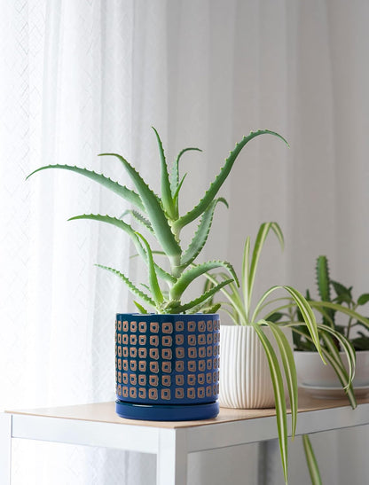 D'vine Dev Set of 2 Ceramic Planter Pots with Drainage Hole and Saucer, 4.5 Inch Plant Pots for Plants Indoor Houseplants, Blue, 99-Z-A-6-V