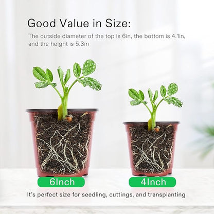VIVOSUN 50 Pcs 6 Inch Plastic Plant Nursery Pots, Seed Starting Pot, Flower Plant Container for Seedlings, Cuttings, Transplanting