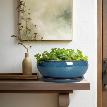 SQOWL Bonsai Pots 10 Inch - Large Ceramic Succulent Pots, Shallow Planter with Drainage Hole and Saucer, Round Planter for Indoor Outdoor, Bowl Planters, Patio Decor, Gifts for Plant Lover, Blue