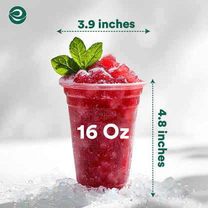 ECO SOUL 100% Compostable, Disposable Party Cups | Eco-friendly Party Cups | (500 Count, 16 oz Cold Cups)