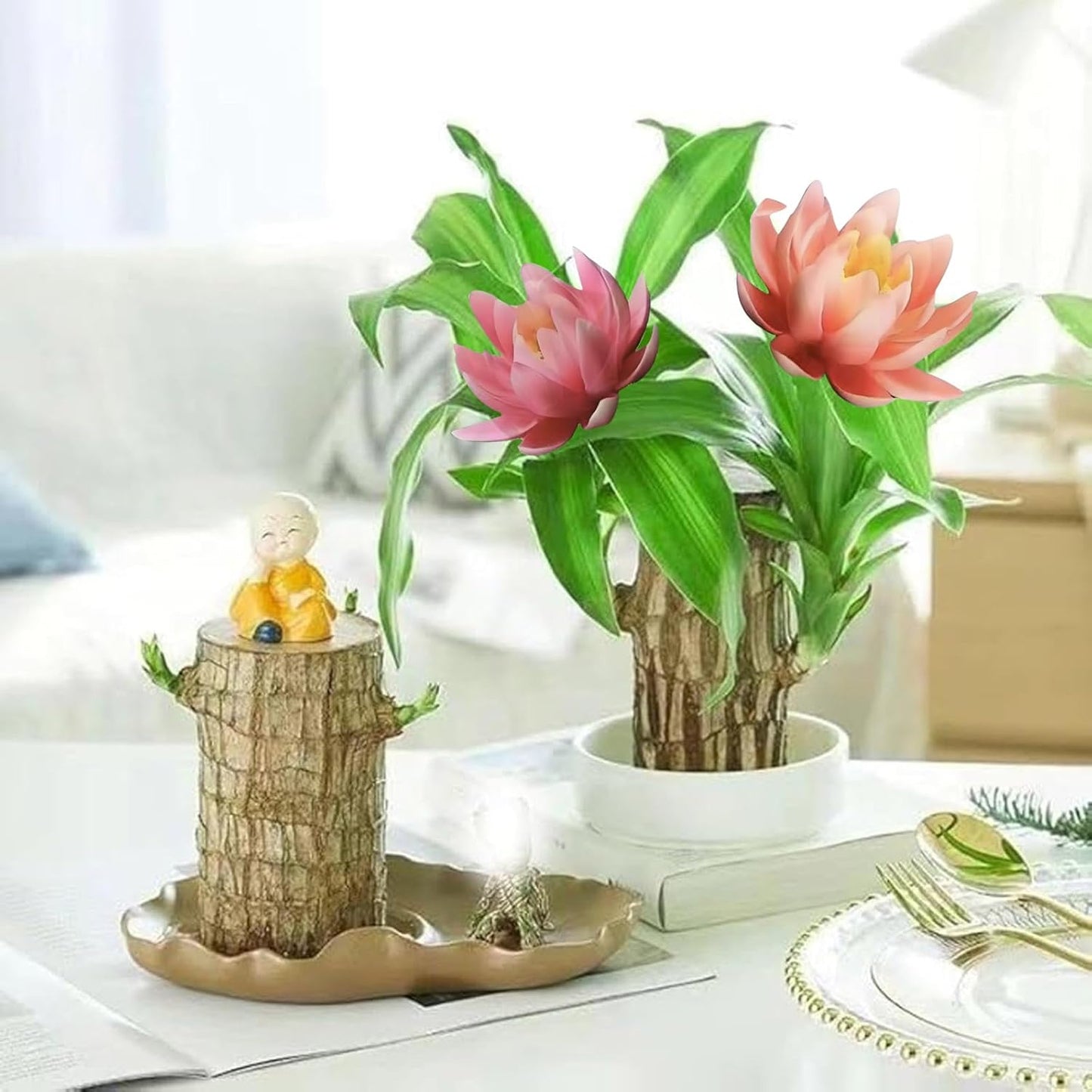Brazilian Lucky Wood Kit with Monk, Grow Your Own Luck,Easy to Maintain Mini Brazil Woods for Indoor/Outdoor, Bedroom, Kitchen, Office Desk, Garden and Other Decorations (5B)