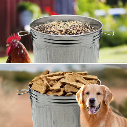 Plexon Metal Trash Can with Lid Outdoor 20 Gallon Galvanized Steel Garbage Bucket with Lid Silver, 2 Pack