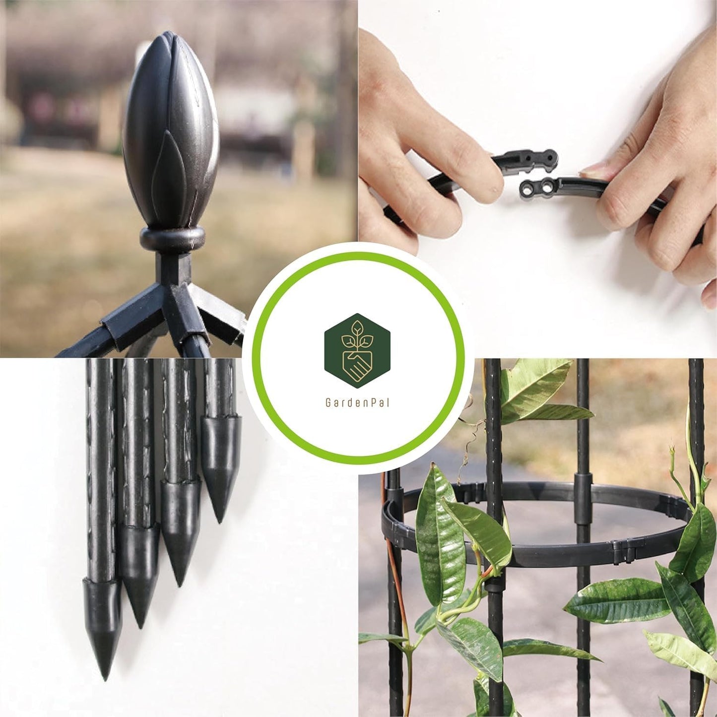 GardenPal Rustproof Metal Pipe Garden Obelisk Trellis, Tomato Cage and Plant Support for Climbing Plants, Potted Tall Plant Stakes for Vine Vegetable Flower Outdoor Indoor (Black, Φ31.7cm-H175cm)