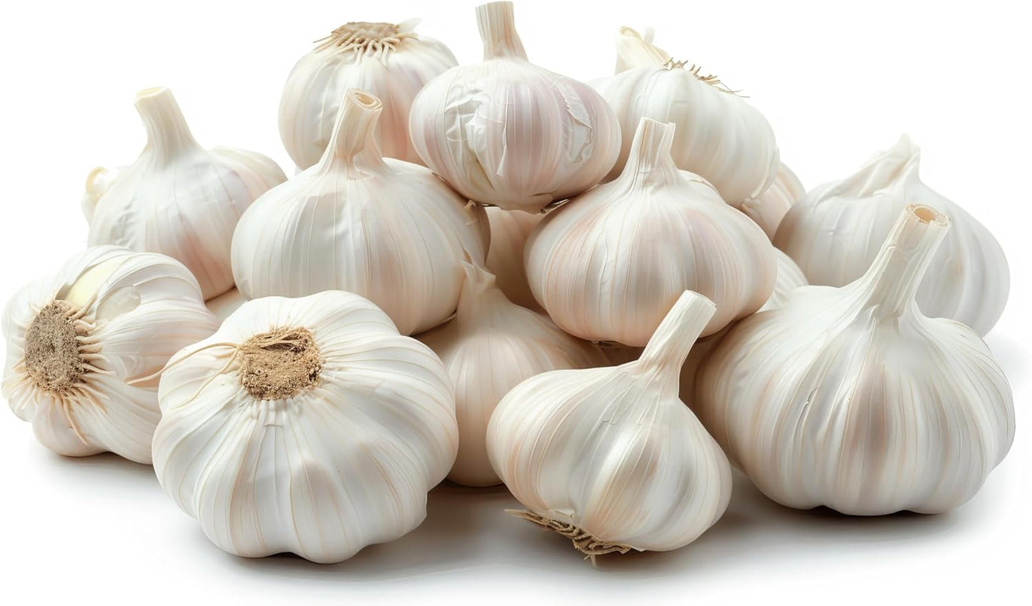 Garlic Bulbs for Seed - Fresh California SOFTNECK Garlic for Planting - Grow Your Own Garlic (10 Bulbs)