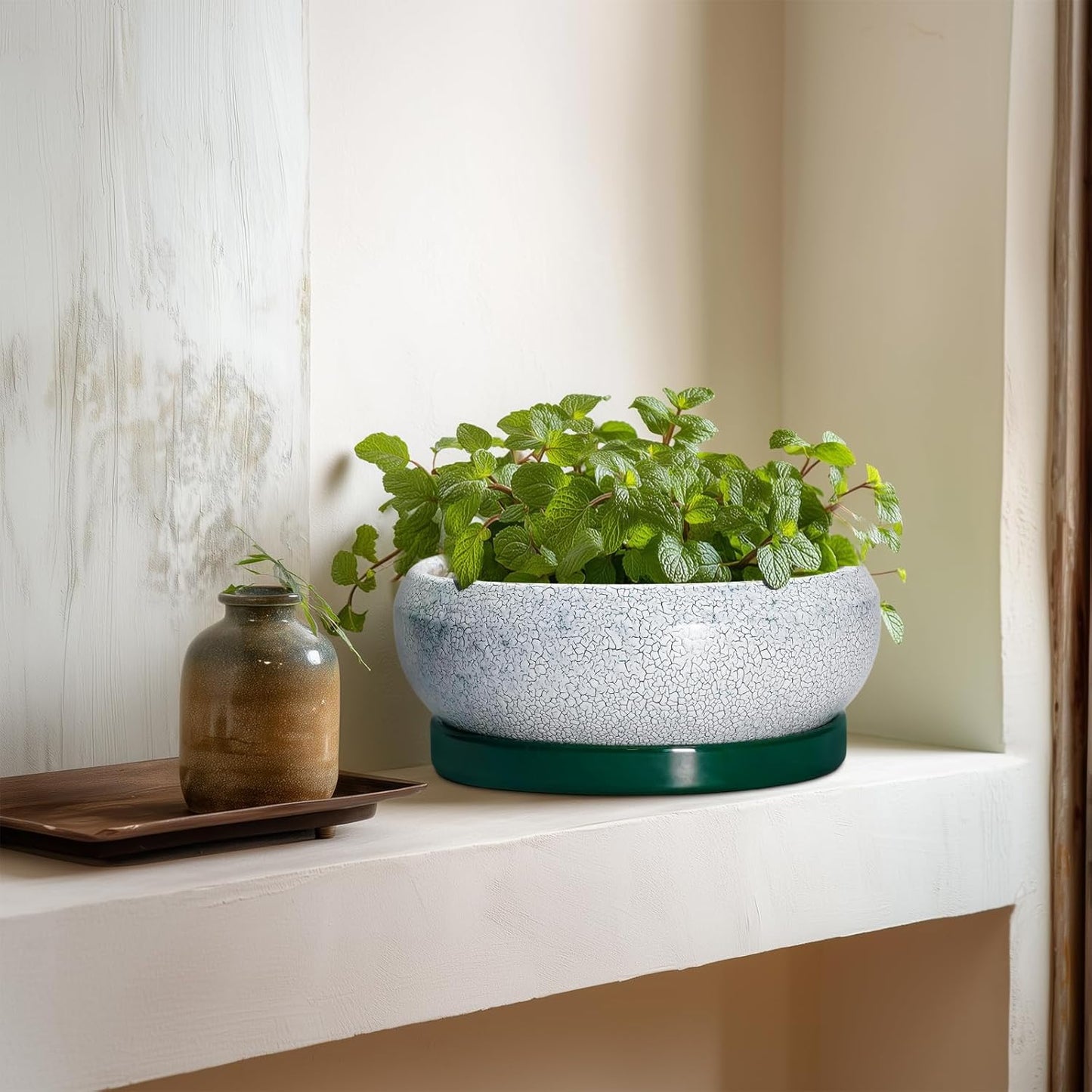 Bonsai Tree Pots - 8 Inch Ceramic Succulent Pot with Drainage Hole and Tray, Bonsai Pots, Shallow Planters for Indoor Outdoor, Round Planter Bowl, House Decor, Gifts for Plant Lovers, Green