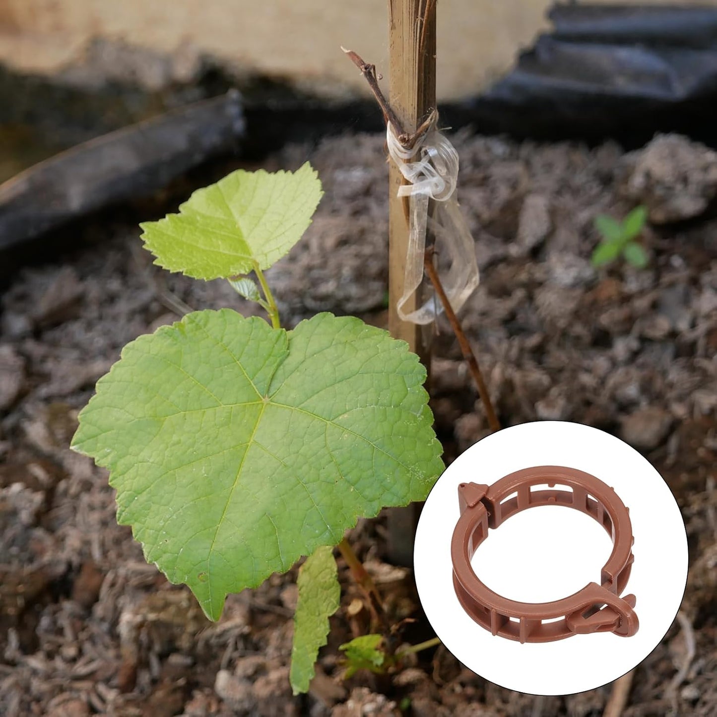 MECCANIXITY 150 Pcs Garden Plant Clips Fixing Clips Brown 30mm Adjusting Plant Lever Loop Clips for Supporting Flower Vine Vegetables Climbing Plant Plant Stems