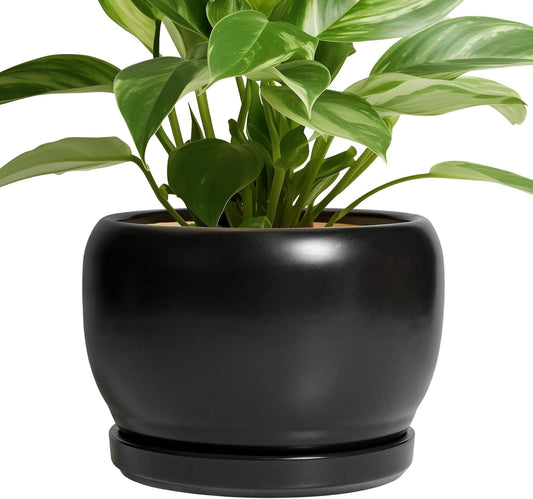 SQOWL Ceramic Plant Pots - 8 Inch Planter Indoor, Round Flower Pot with Drainage Hole and Saucer, Modern Outdoor Planter, Apartment Decor, Gifts for Plant Lovers, Black