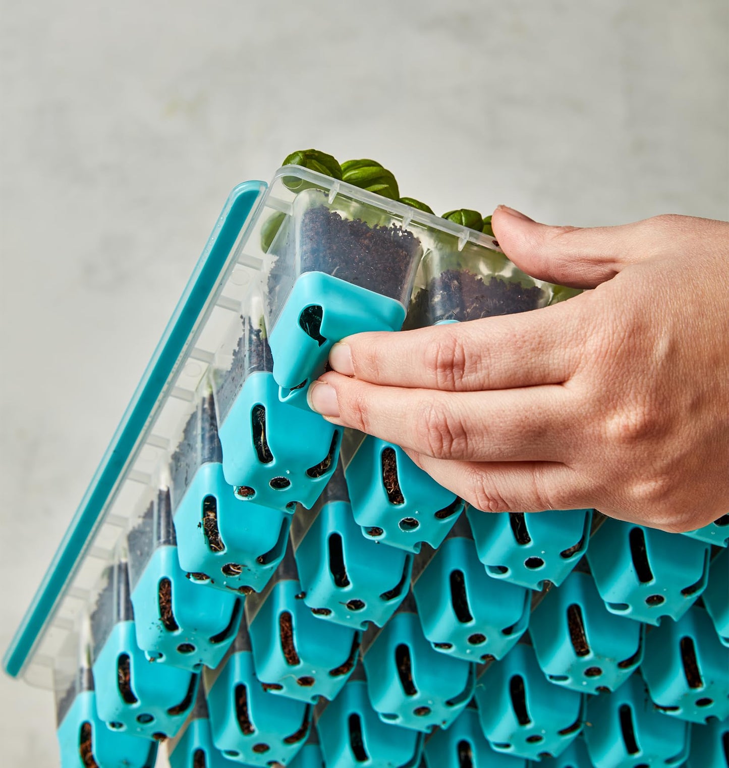 Burpee SuperSeed 36-Cell Reusable Seed Starting Tray for Indoor Seedlings